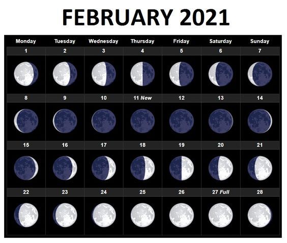 Лунный календарь стрижек на сентябрь 2022 | Новый канал