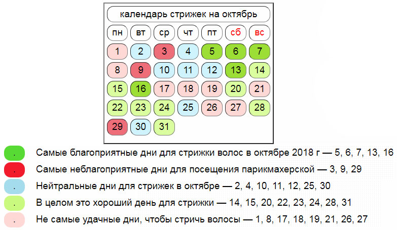 Стрижка, покраска и уход за волосами в октябре-2024: в какие ...