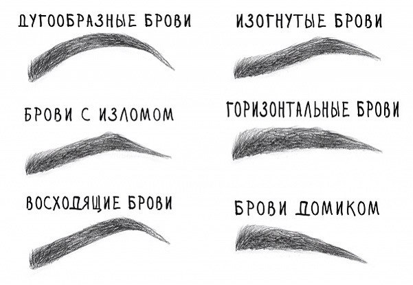 Lash Book ...