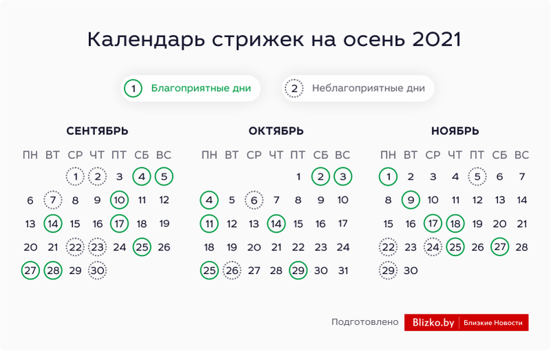 Лунный календарь стрижек на октябрь 2023 | Новый канал