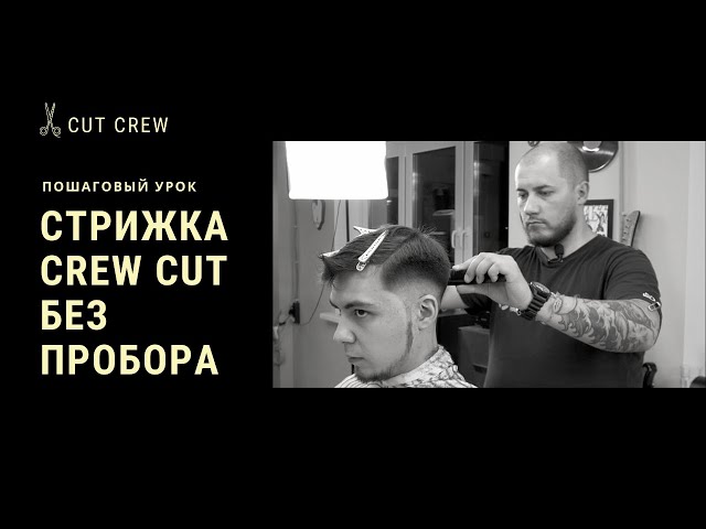 Crew Cut / Короткая стрижка под машинку ...