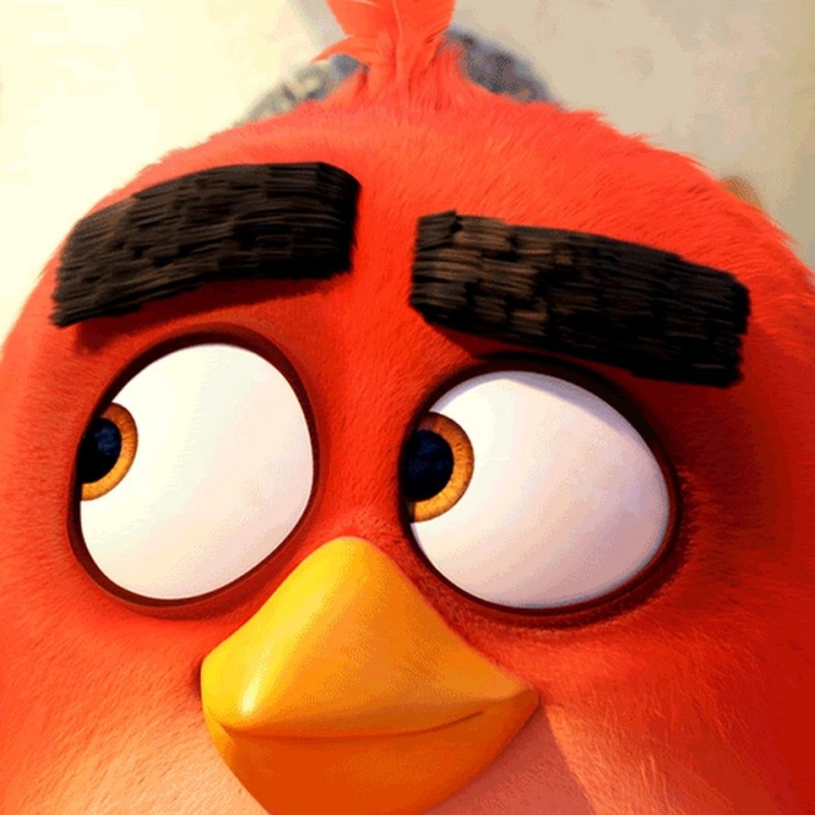 Angry Birds: Птицы | Angry Birds