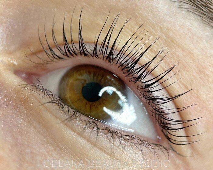 Ламинирование ресниц LVL Lashes - «Делюсь опытом ...