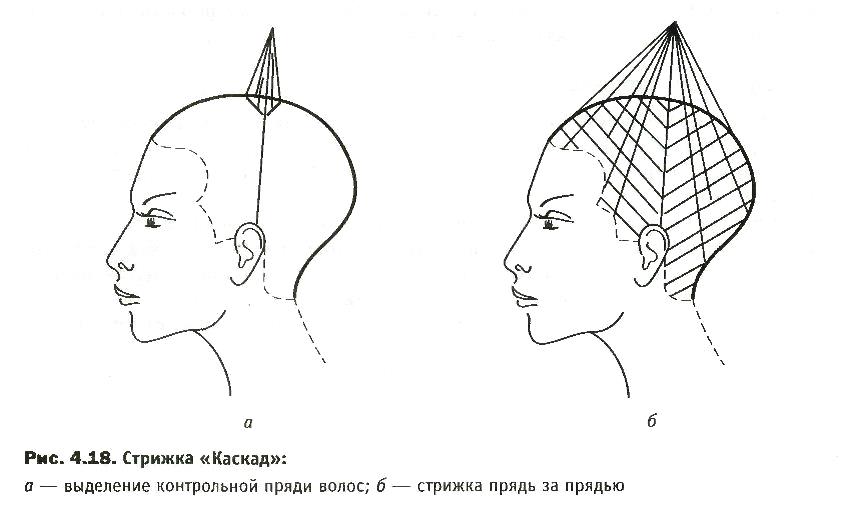 Конспект на тему: Женская стрижка Каскад