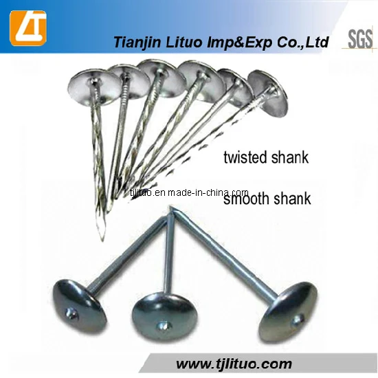 Wholesale Spiral shank Umbrella head ...