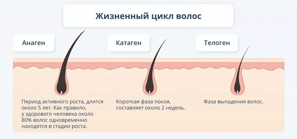 Сила ГИАЛУРОНА. Быстрый рост и густота волос — купить линию ...