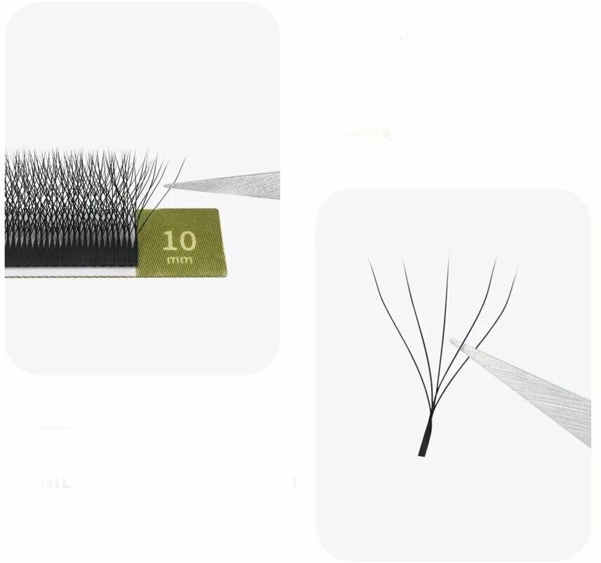 MARELE CO | LASHES | Whispy and fresh ...