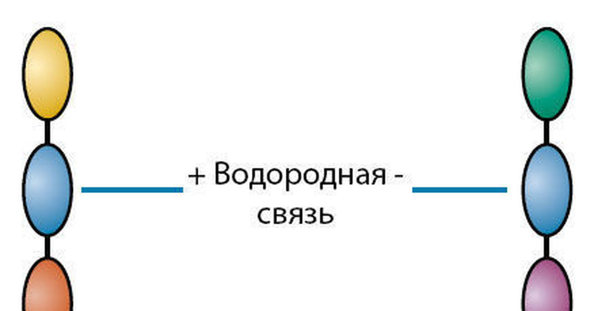 Почему важно мыть волосы перед стрижкой ...