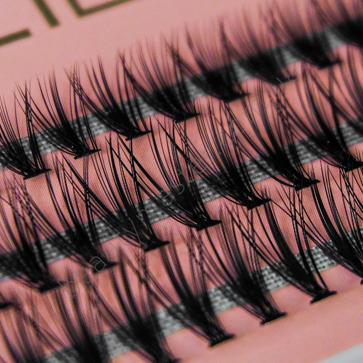 Luxury Lashes Ресницы для наращивания ...