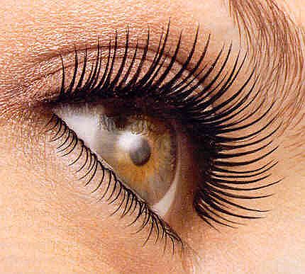 W Lash Extensions против традиционных ...