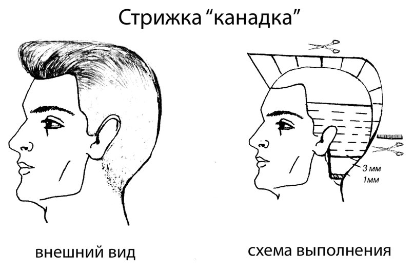 Армейские стрижки для женщин | Si vis pacem, para bellum!