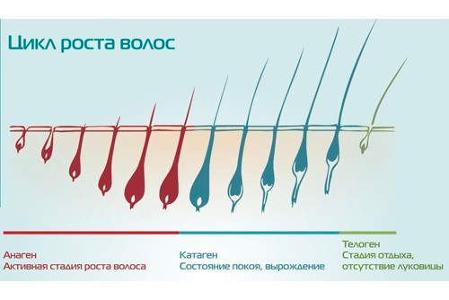 В какой цвет покрасить ноги?, - 10137277 - Кашалот