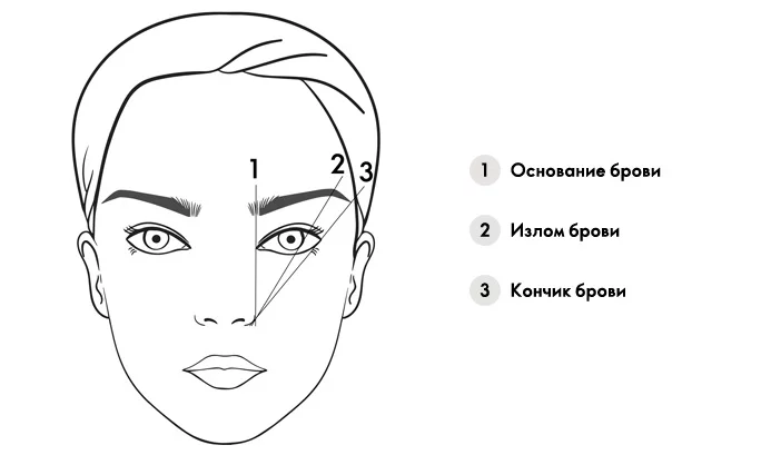 Виды бровей: все типы и модные формы на ...