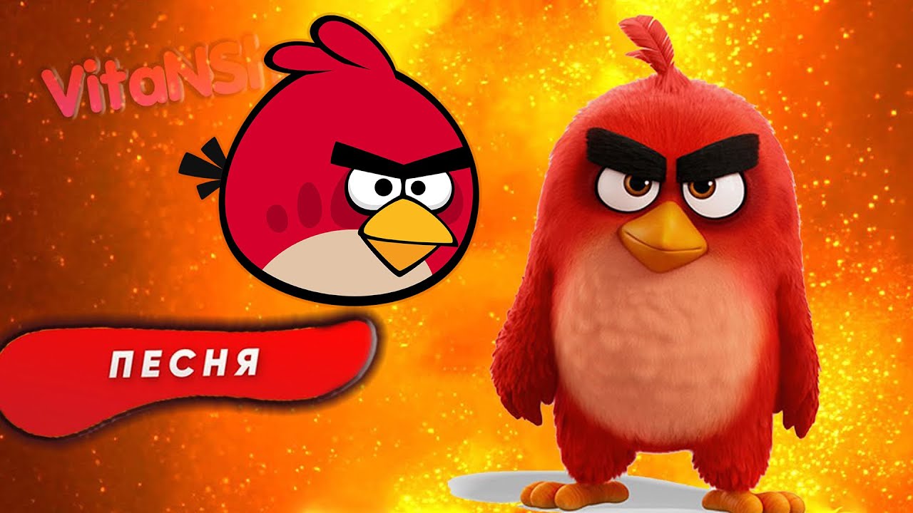 Существуют ли птицы из Angry Birds. Фотограф показал их на снимке