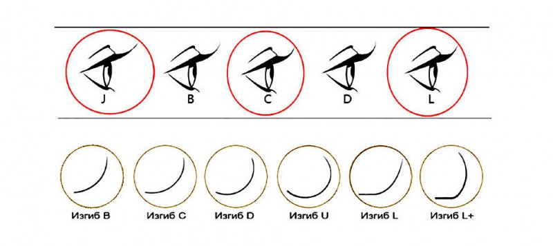 Изгибы ресниц для наращивания фото на глазах с описанием ...