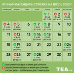 Календарь Стрижек Деннжных Октябрь 2024 | TikTok