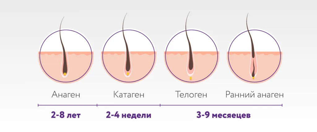 Как быстро отрастить волосы в домашних ...