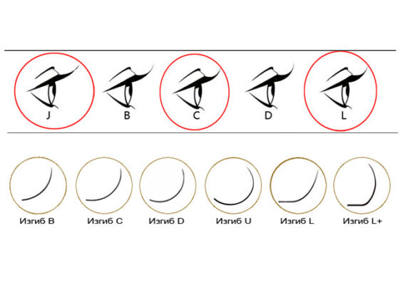 Какой изгиб ресниц выбрать при наращивании, C или D