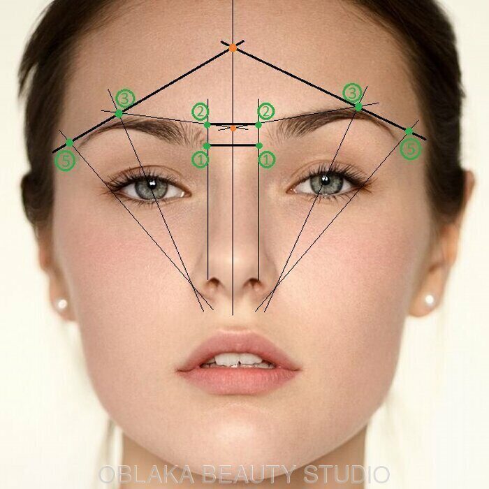 Схема бровей. Универсальное построение ...