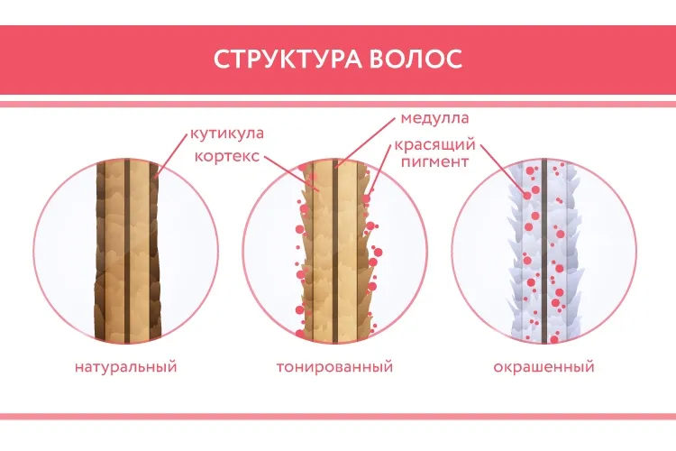 Секреты окрашивания волос в домашних условиях |Ellio