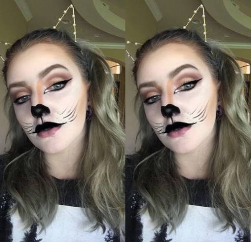 Скачать картинки Halloween makeup cat face, стоковые фото ...