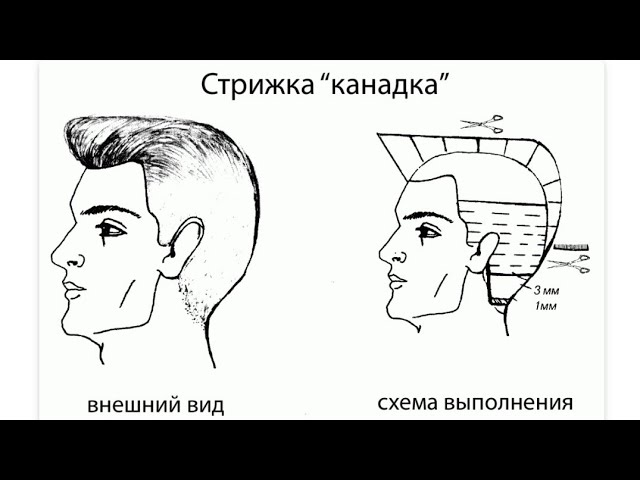 Cтрижка Канадка [20 фото] – виды и особенности прически для ...