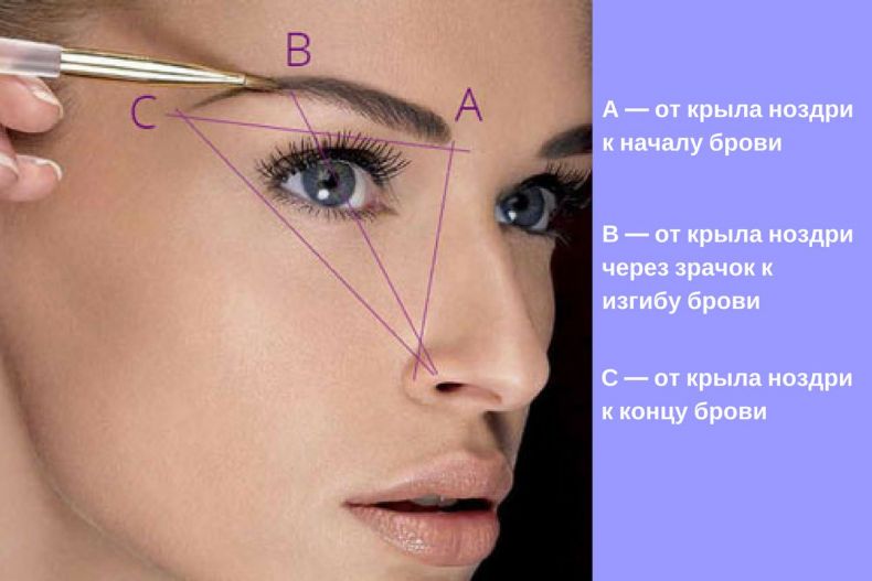 Архитектура бровей: пошаговое ...