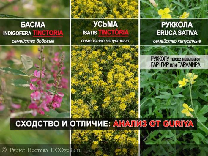 Усьма молотая порошок (Isatis tinctoria ...