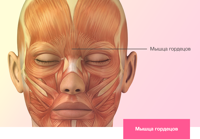 Подтяжка лба и бровей | Лифтинг верхней трети лица (веки, лоб ...