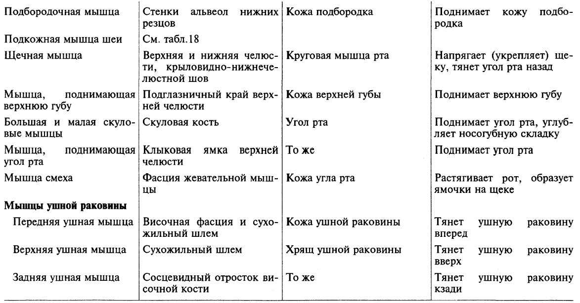 ИННЕРВАЦИЯ СКЕЛЕТНЫХ МЫШЦ ЧЕЛОВЕКА