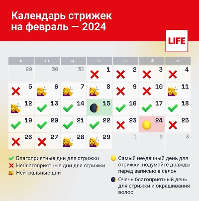 Лунный календарь стрижек на ноябрь 2024 ...