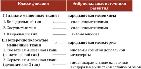 Витилиго: лечение препаратами у детей и взрослых