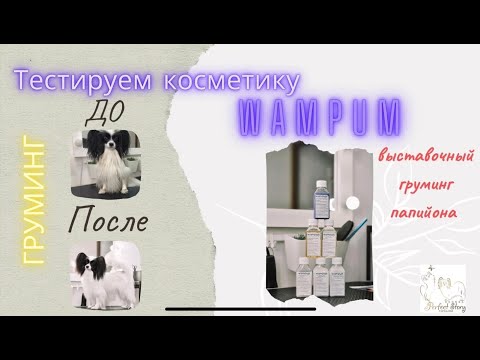 стрижка терьеров/ тримминг скотч терьера, где в Чертаново ...