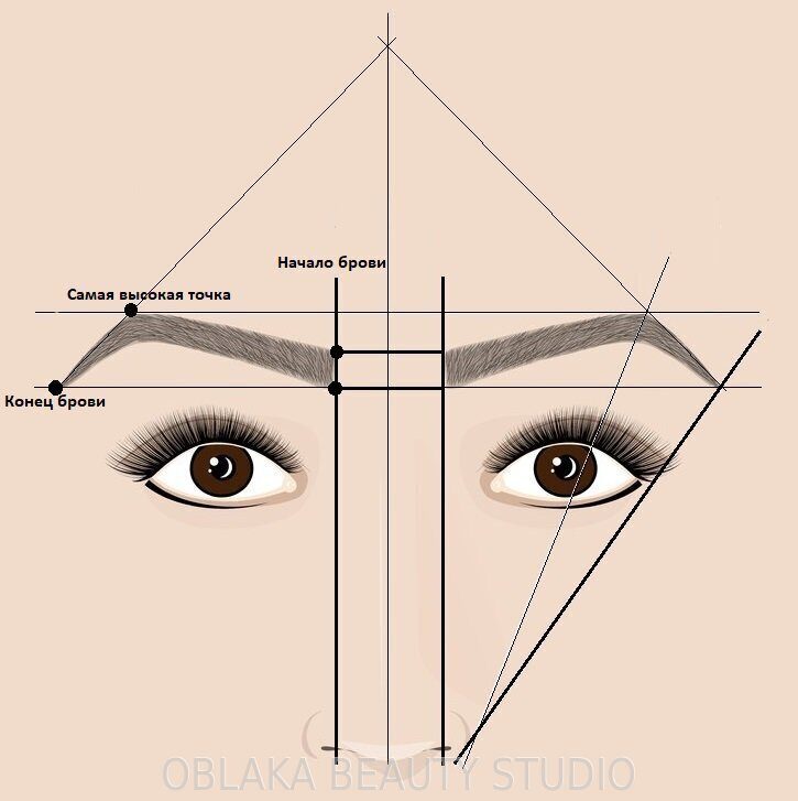 Архитектура бровей: пошаговое построение с фото