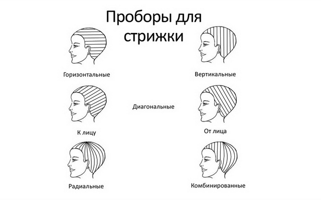 Техника быстрой стрижки Big Step — EVA LORMAN