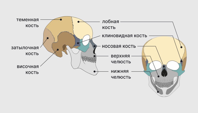 Классификация МКБ-10 для стоматологии и ...