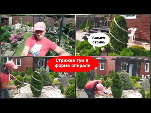 ФИГУРНАЯ СТРИЖКА КУСТОВ Стоковые фотографии, картинки, все ...