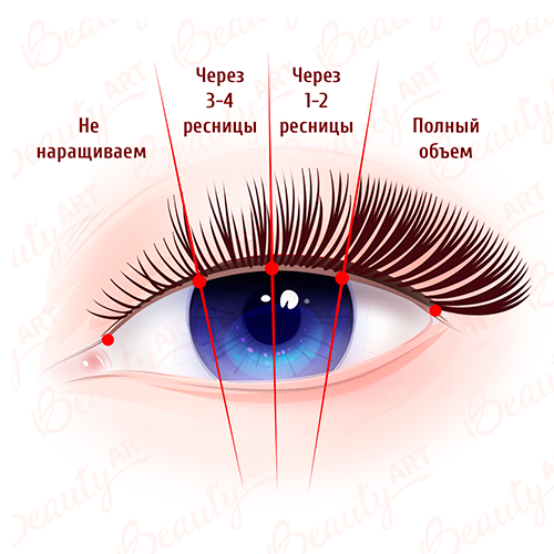 Наращивание ресниц классика: что это, схема и виды, техника ...