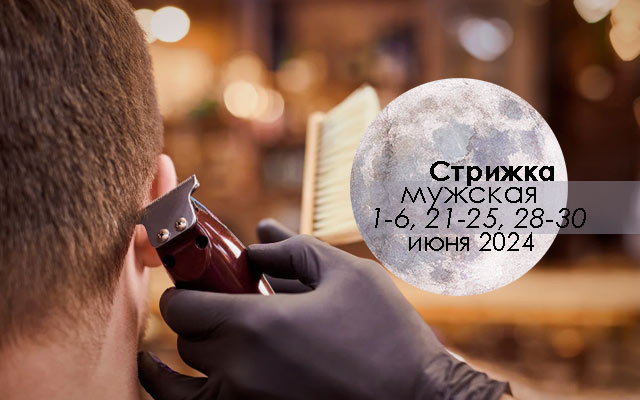 Календарь стрижек на июнь 2024 - когда ...