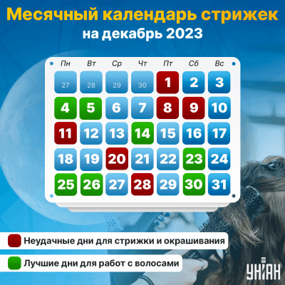 Лунный календарь стрижек на декабрь 2023 года - 7Дней.ру