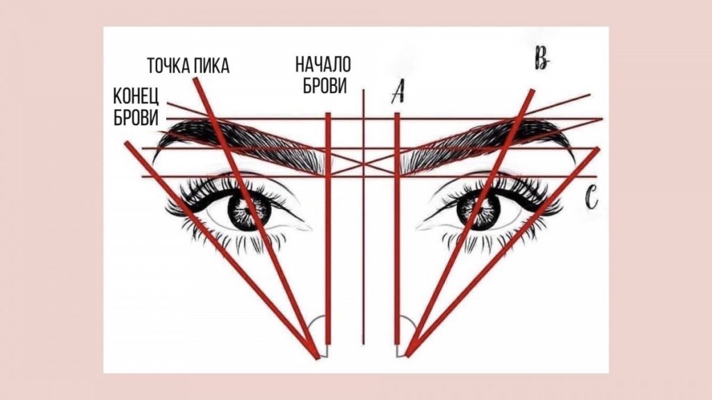 Архитектура бровей: пошаговое ...