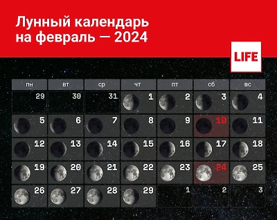 Самый подробный лунный календарь стрижек на март 2021 года