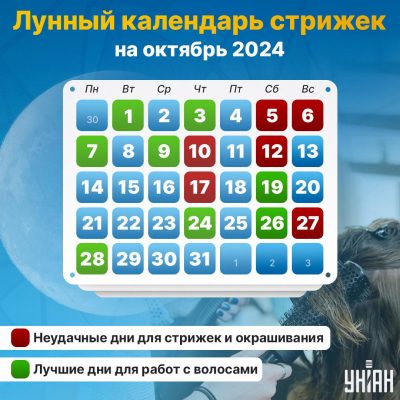 Лунный календарь стрижки волос на август 2023 + благоприятные ...