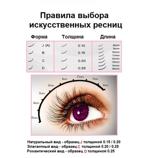 LUXURY LASHES / Ресницы для наращивания темно-коричневого ...