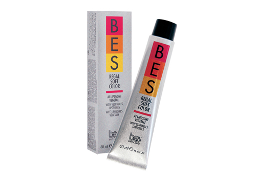 BES HI-FI Hair Color F.21 100ml ...