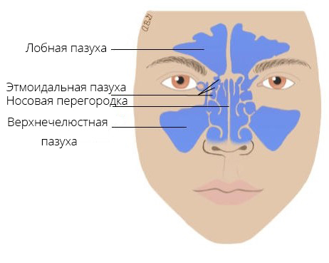 Лучшие стрелки для нависшего века ...