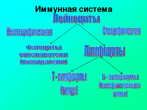 ЗАДАНИЯ И УПРАЖНЕНИЯ