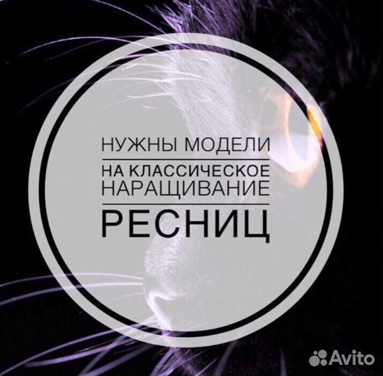 Ищу модель. Днепр - Нужны модели на ...