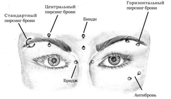 Горизонтальный пирсинг брови ⋆ Студия ...