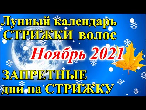 Лунный календарь стрижек на ноябрь 2023 | Новый канал